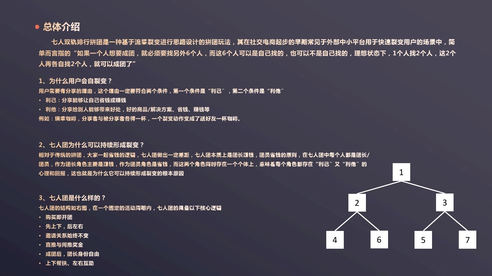 七人双轨拼团调研第 2 页