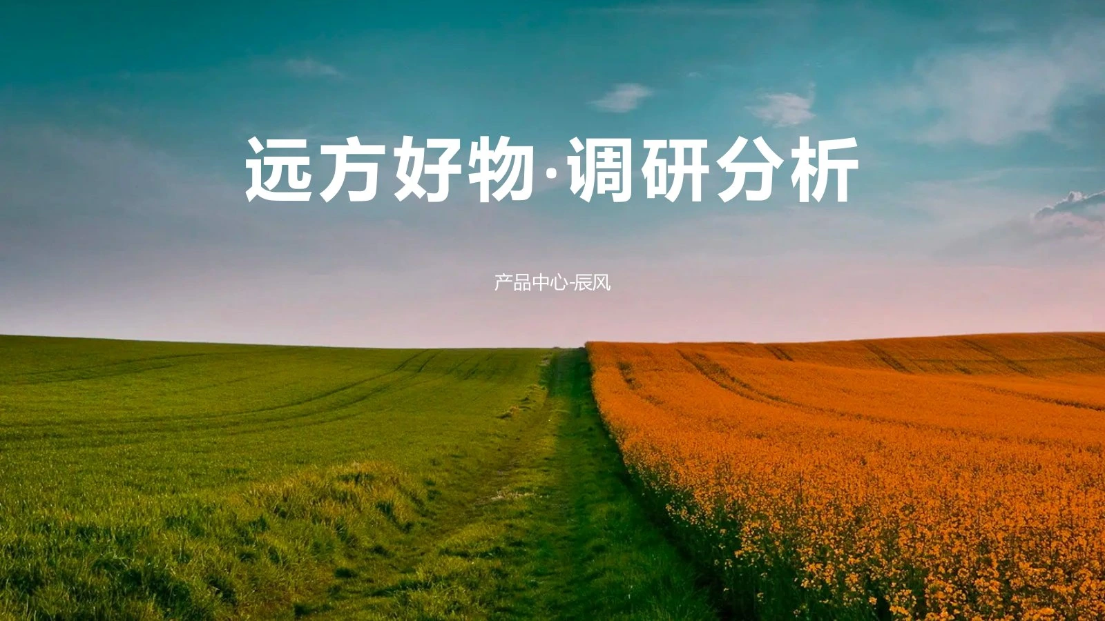 远方好物调研报告在线预览第 1 页