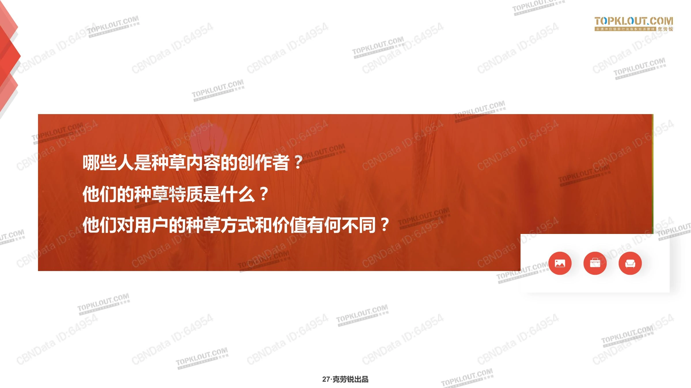 种草力研究在线预览第 27 页