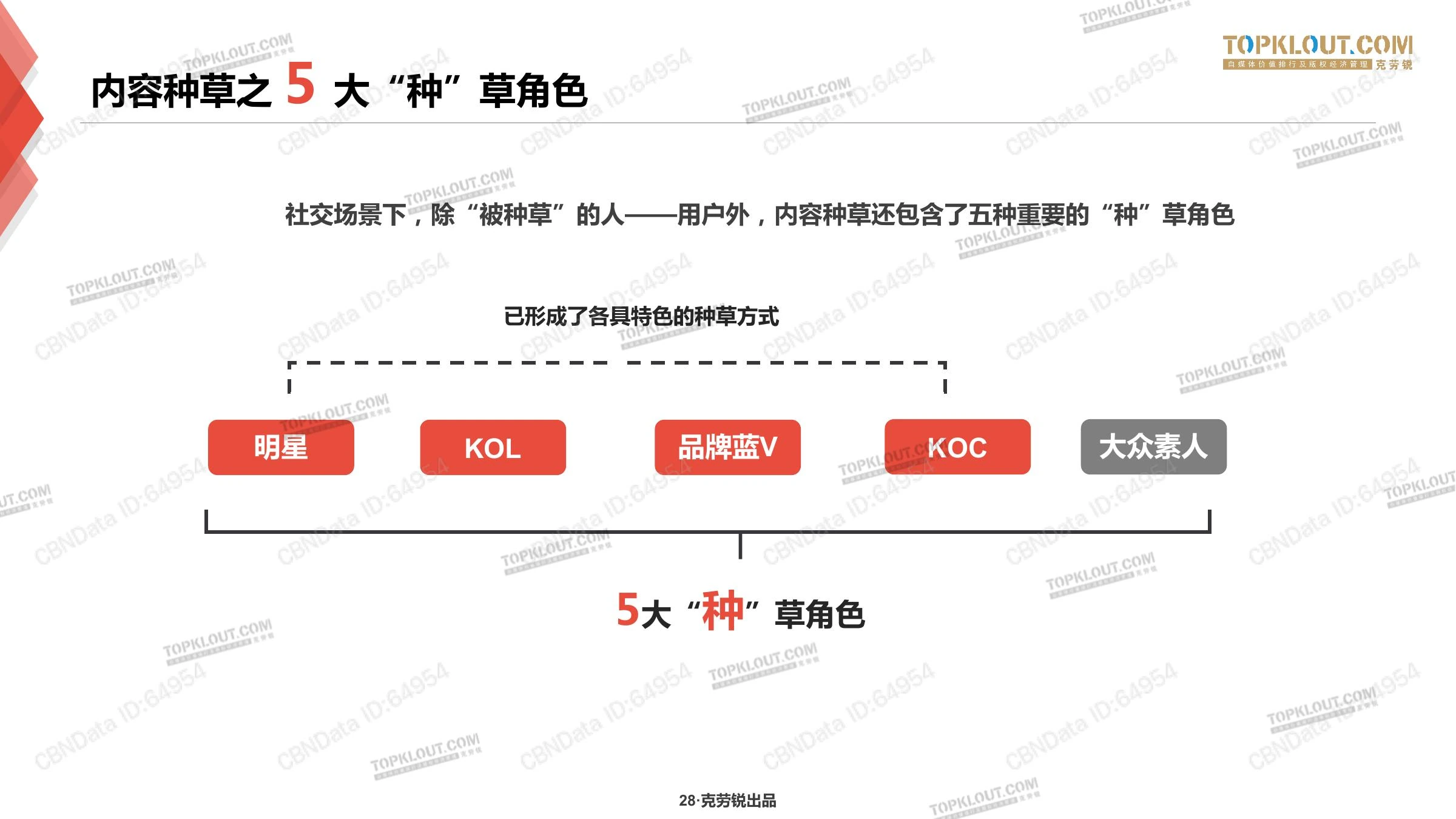 种草力研究在线预览第 28 页