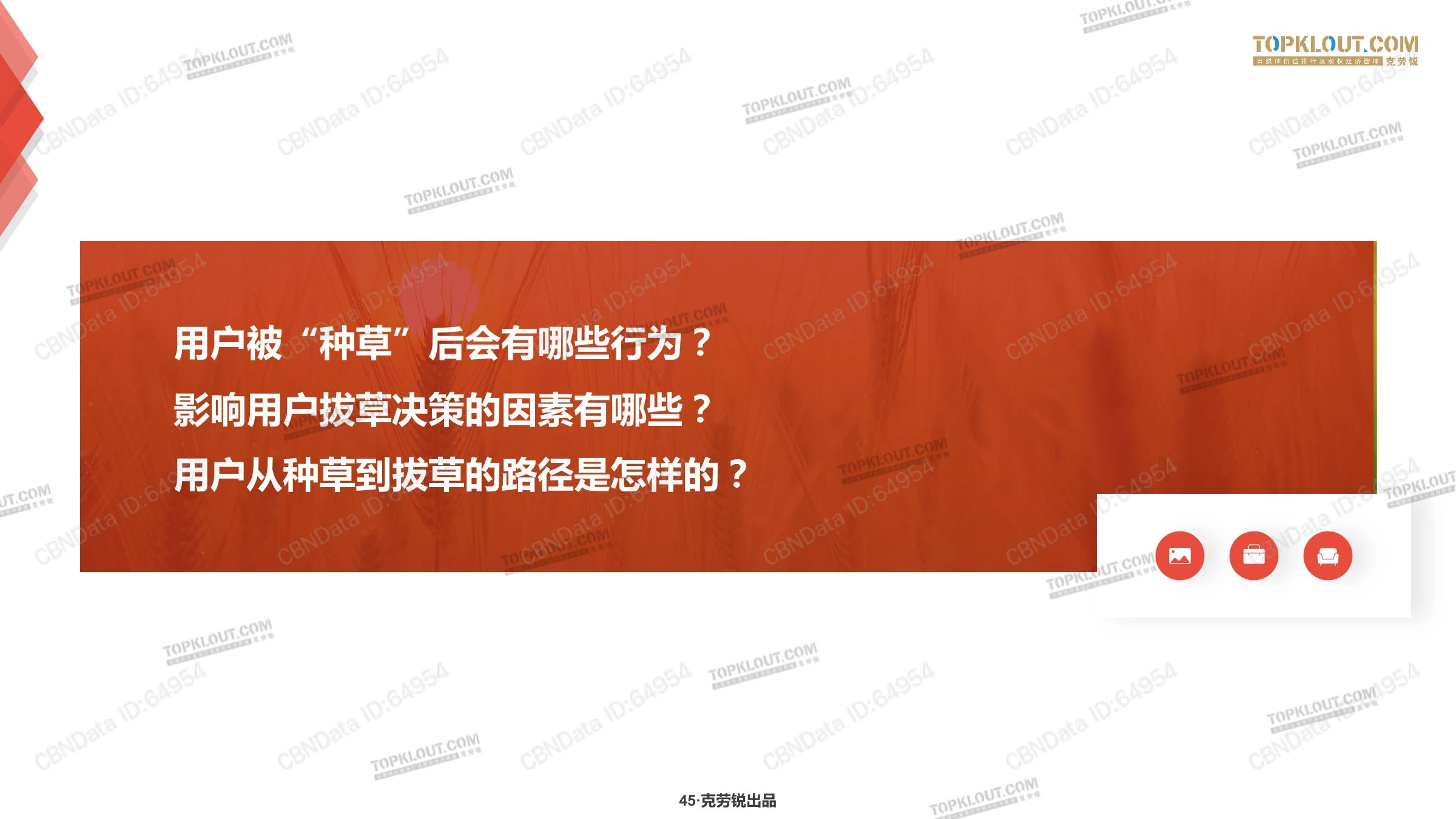 种草力研究在线预览第 45 页