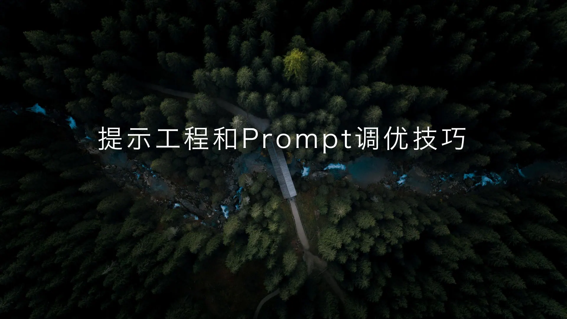 提示工程和 Prompt 调优技巧第 1 页