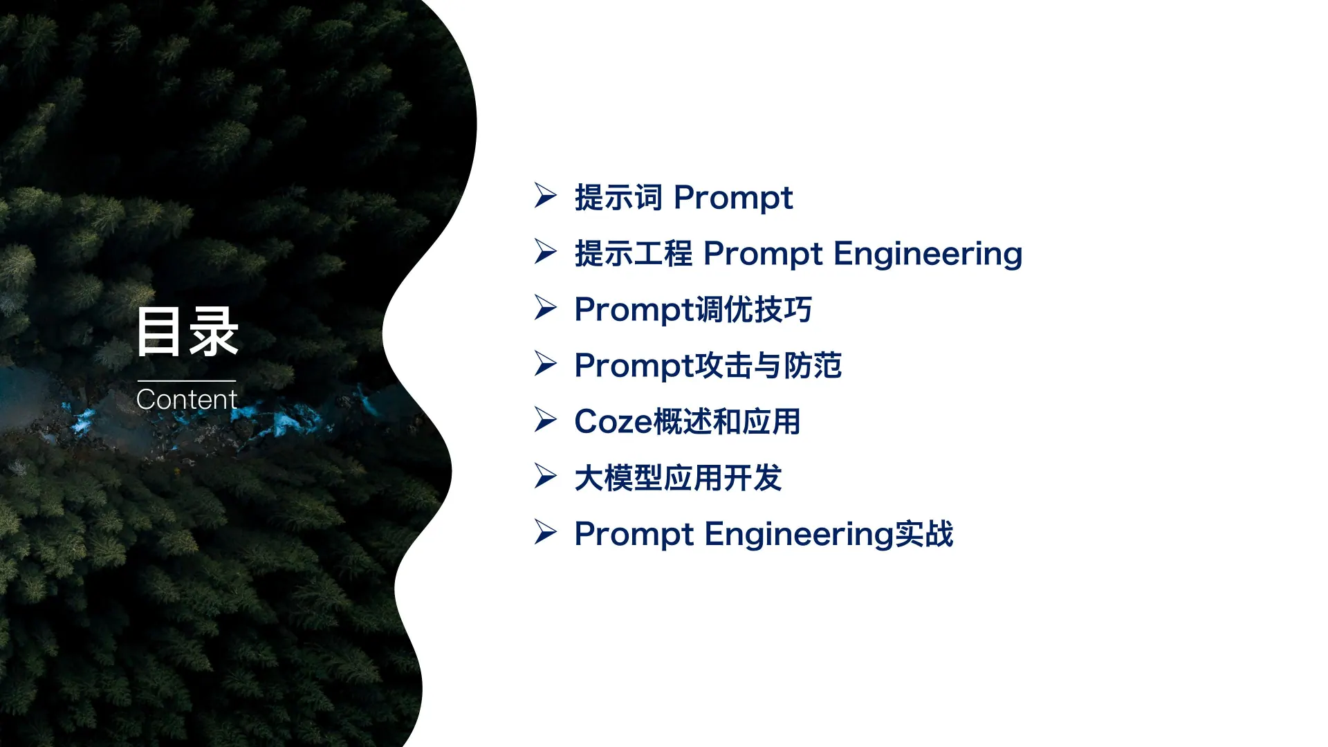 提示工程和 Prompt 调优技巧第 2 页