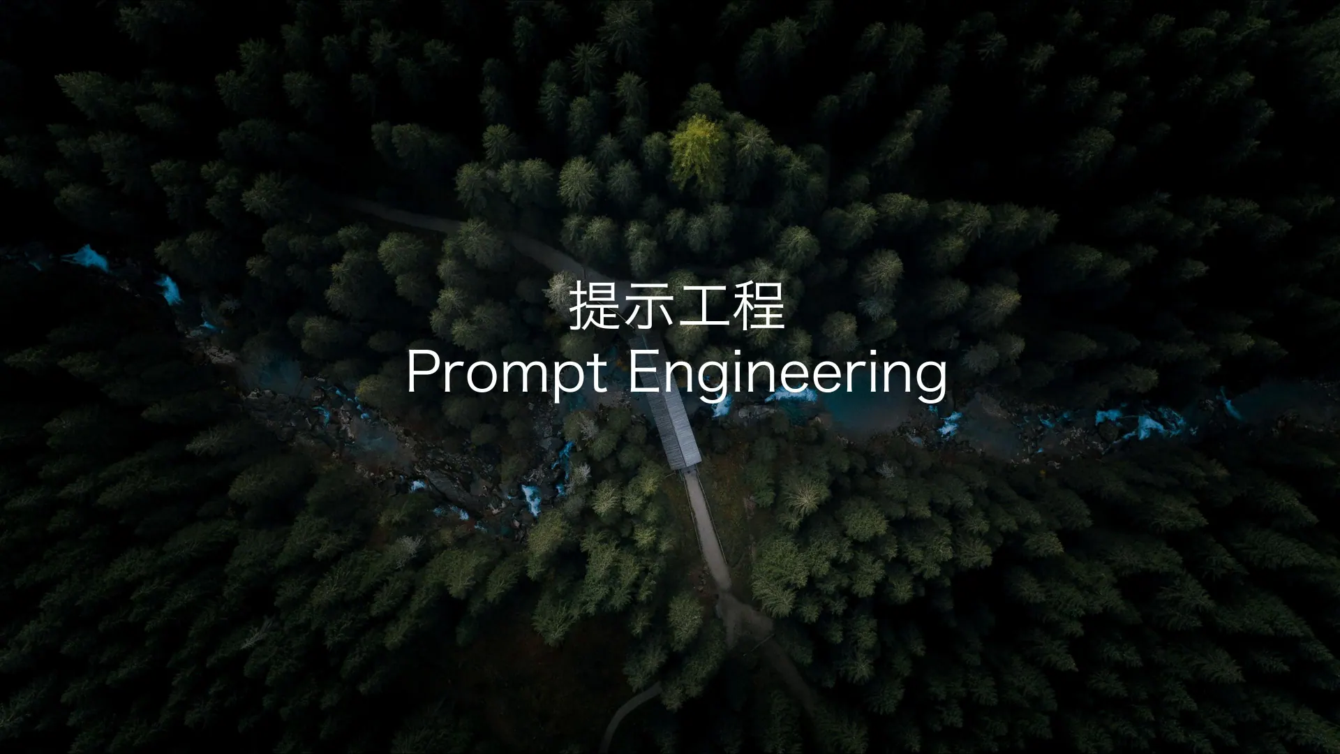 提示工程和 Prompt 调优技巧第 10 页