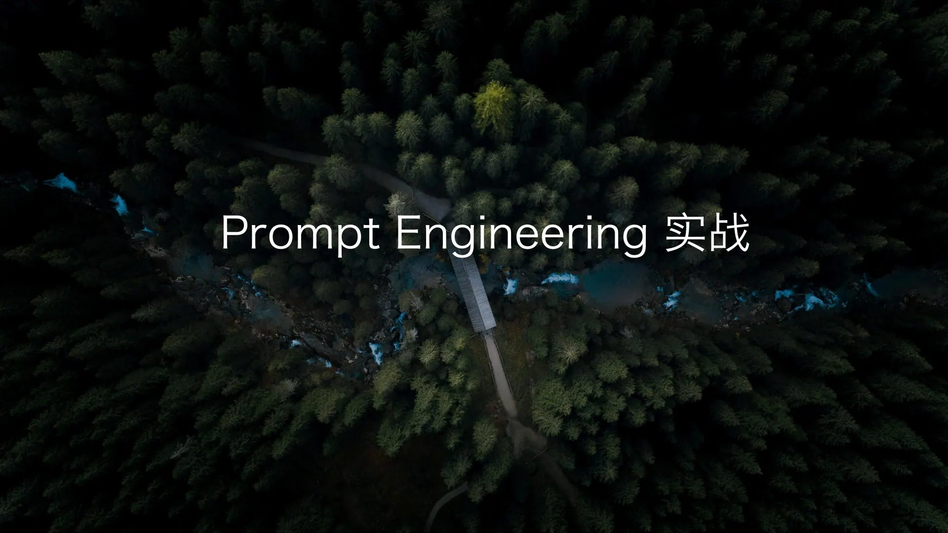 提示工程和 Prompt 调优技巧第 52 页